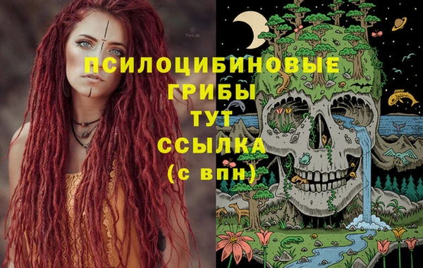 метадон Мегион