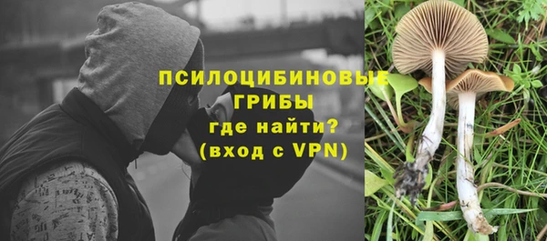 спайс Медвежьегорск