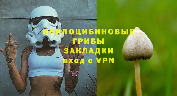 спайс Медвежьегорск