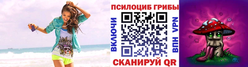 Галлюциногенные грибы Psilocybe Гусь-Хрустальный