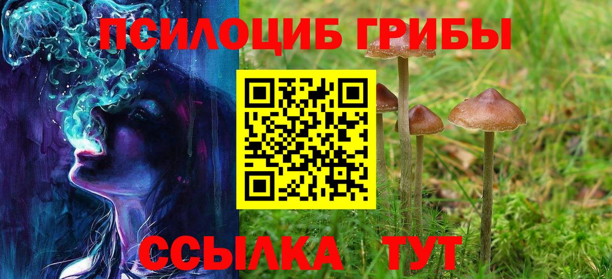 Псилоцибиновые грибы Cubensis  Гусь-Хрустальный  Псилоцибиновые грибы прущие грибы 