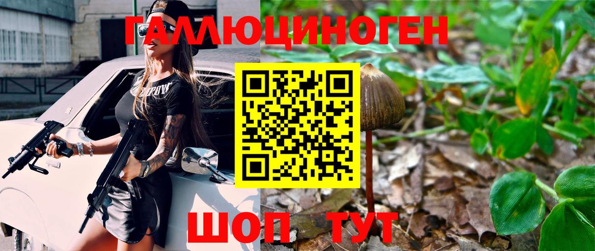 Галлюциногенные грибы Psilocybine cubensis Гусь-Хрустальный