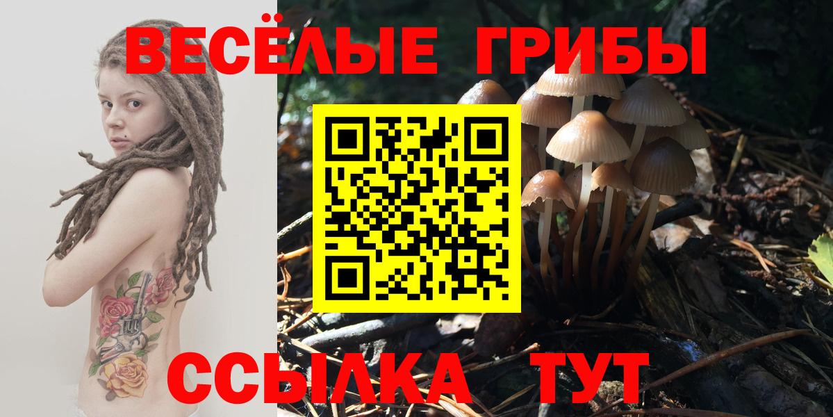 Псилоцибиновые грибы Psilocybine cubensis Гусь-Хрустальный