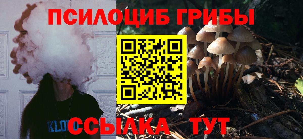 Псилоцибиновые грибы мицелий  Вход с VPN  Гусь-Хрустальный  Псилоцибиновые грибы Psilocybe 