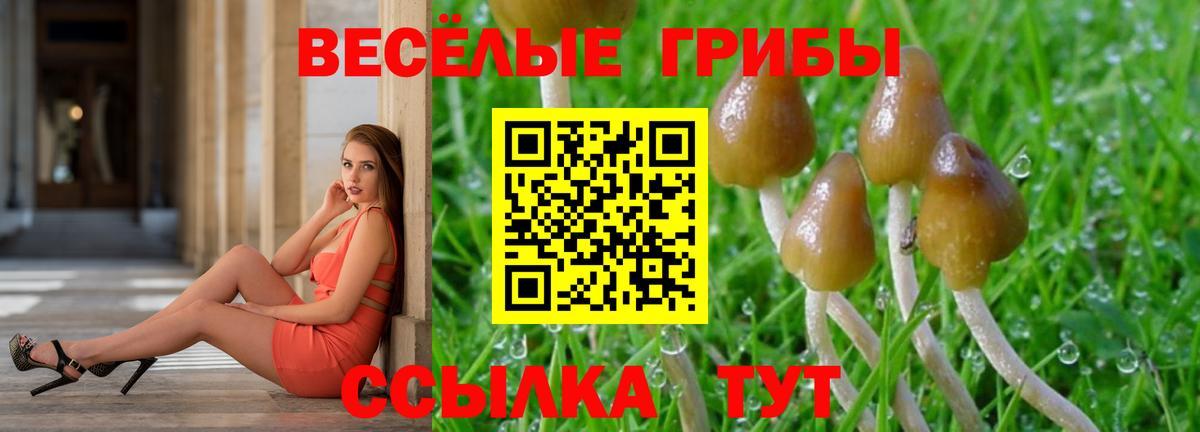 МЕФ Гусь-Хрустальный