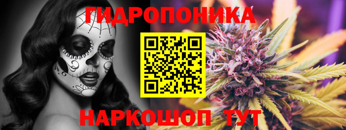 Гусь-Хрустальный  Конопля OG Kush  Вход с VPN  Конопля планчик  МАРИХУАНА LSD WEED 